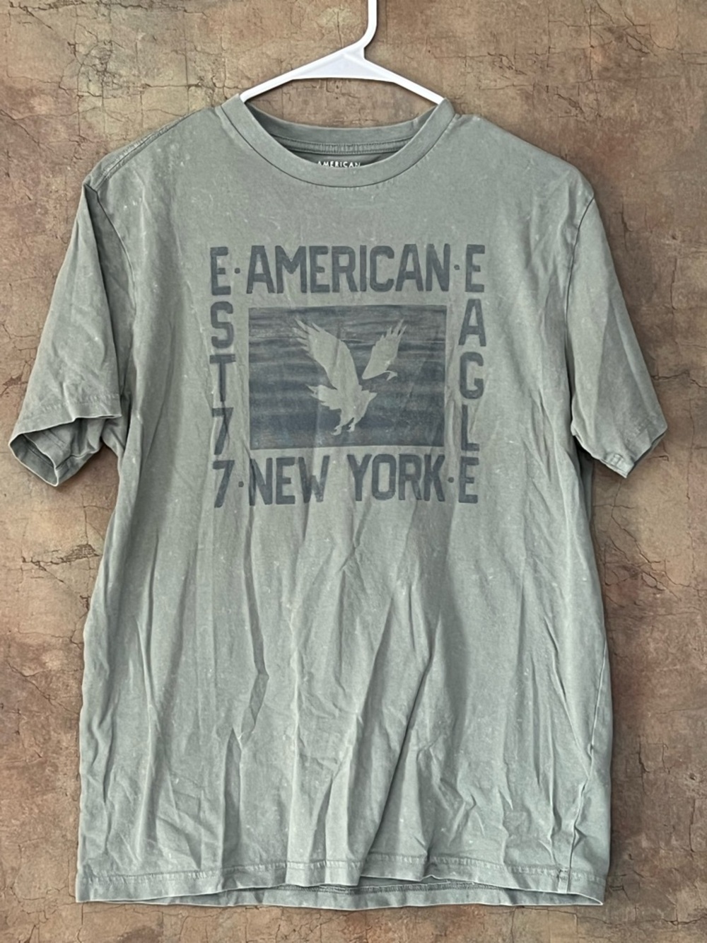 American Eagle Outfitters Men's Sage Green Logo Graphic Tee